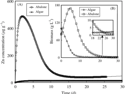 Fig. 2. Typical example of the simulations carried out for the model predictions of (A) Zn concentration in algae and abalone and (B) biomass of algae and abalone