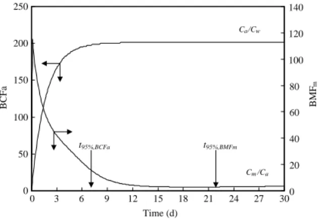 Fig. 3. Typical example of the simulation carried out for BCF a and BMF m dynamics, showing an approach to 95% equilibrium response time for BCF a ðt 95%;BCF a Þ and BMF m ðt 95%;BCF a Þ: The initialconditions used were as: