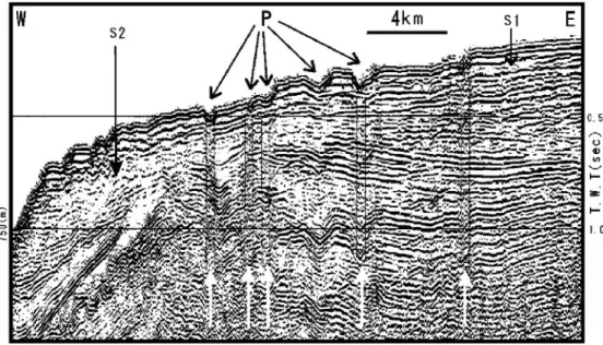 Fig. 2 V-shaped pockmarks (P) and acoustic disturbances of narrow vertical column below pockmarks