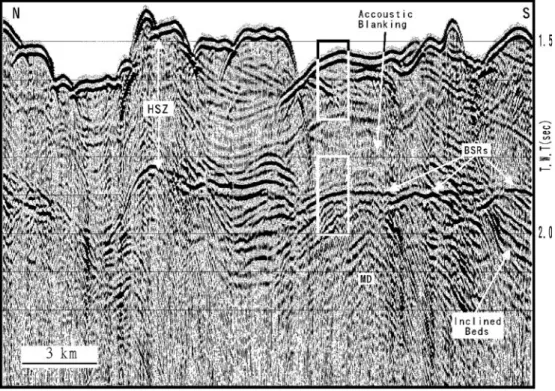 Fig. 4 Reversed enlarged detail of the boxed area in Fig. 3.