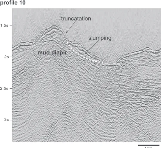Fig. 7. Seismic profile 10 shows that truncated reflections appear at the east flank of the mud diapir could be the result from slumping due to an  over-steeping of the east flank Slumped materials are transported down-slope and are accumulated at the edge