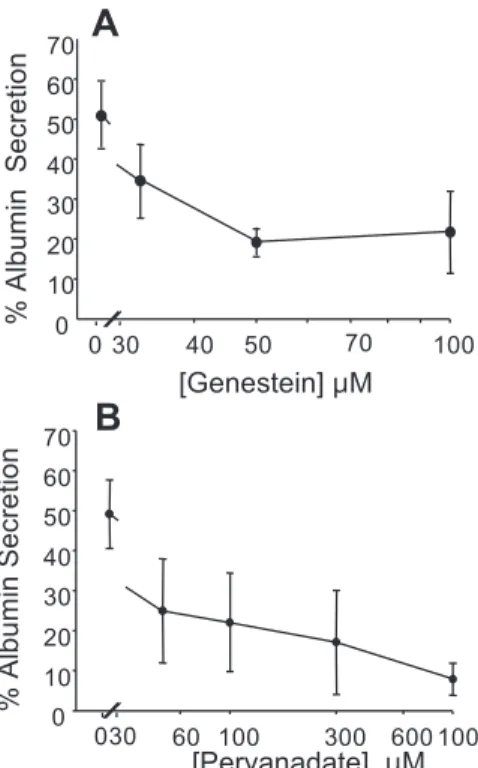 Fig. 2. The concentration-dependent inhibition of protein serum albumin secretion from primary rat hepatocytes by genistein and pervanadate