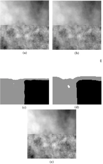 Fig. 9. Application of texture segmentation and denoising. (a) Original 512 2 512 fBm image mosaic