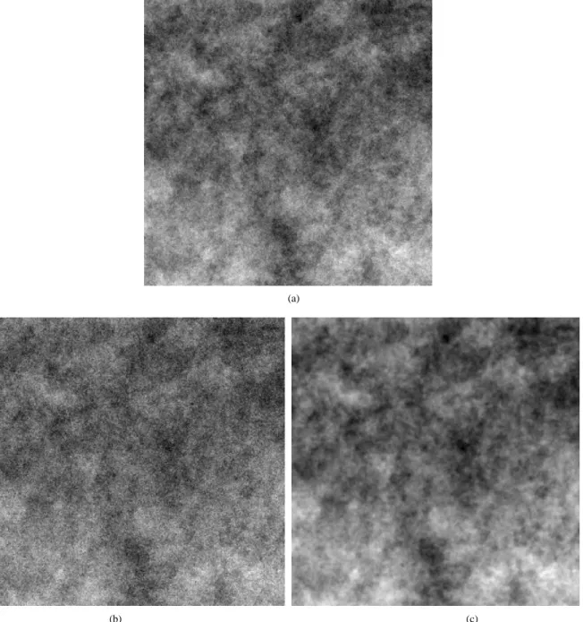 Fig. 6. Image denoising example. (a) 256 2 256 fBm image with  = 0:2. (b) Noisy fBm with SNR = 5 dB