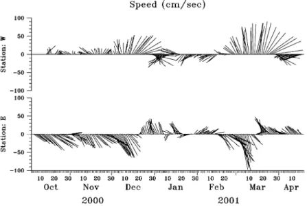 Fig. 4. Stick plots of the depth-averaged current velocity at Wand E, respectively.