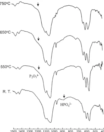 Fig. 4. FTIR spectra of d-HAP and d-HAP with 10 wt% Na4P2O7 ) 10H2O addition at room temperature and heated at 550, 650, 750°C (a) d-HAP; (b) d-HAP with 10 wt% NP addition.