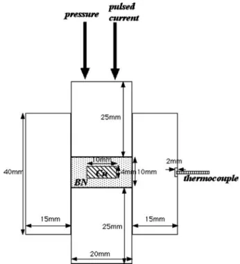 Figure 1 Schematic of the experimental setup for the PECS process.