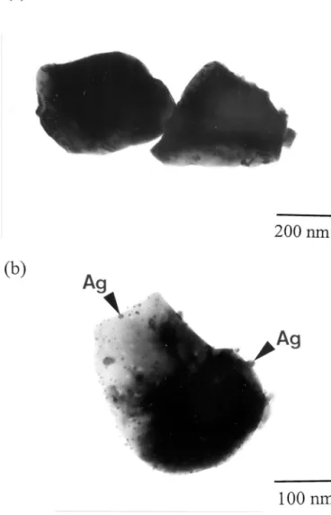 Fig. 2. TEM micrographs of (a) undoped BaTiO 3 and (b) silver-doped BaTiO 3 powder.