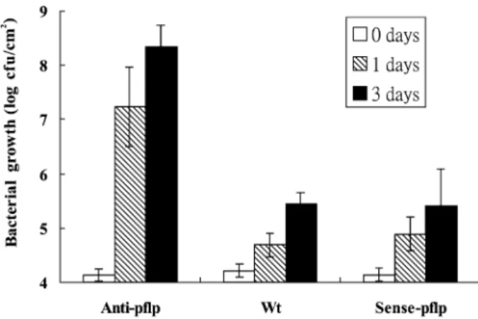 Fig. 4 The quantity of total Fd-I in inoculated pflp-transgenic tobacco. Bacterial  suspensions (1.0 × 10 5  cfu/mL) of P