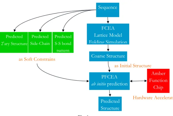 Fig. 1  FCEA  Lattice Model  Folding SimulationSequencePredicted 2’ary Structure Coarse StructurePFCEA  ab initio prediction PredictedStructureas Soft Constrains  as Initial Structure Predicted Side-Chain PredictedS-S bond pattern Amber  Function Chip  Har