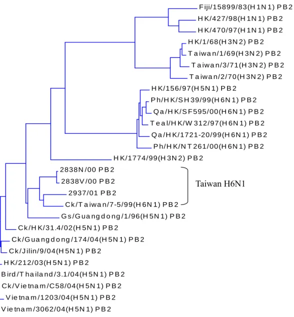 Fig. 1. Phylogenetic tree constructed from PB2 gene nucleotide sequences (1–2277). 