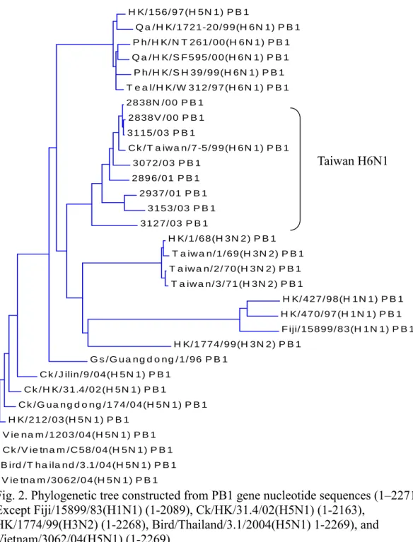 Fig. 2. Phylogenetic tree constructed from PB1 gene nucleotide sequences (1–2271). 