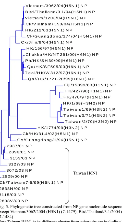 Fig. 5. Phylogenetic tree constructed from NP gene nucleotide sequences (7-1493)  except Vietnam/3062/2004 (H5N1) (7-1479), Bird/Thailand/3.1/2004 (H5N1)  (7-1484) 