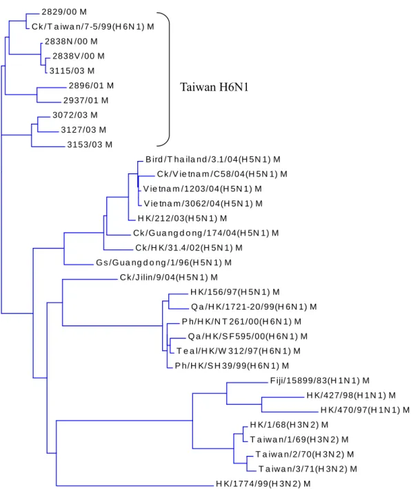 Fig. 7. Phylogenetic tree constructed from M gene nucleotide sequences (7-909).   