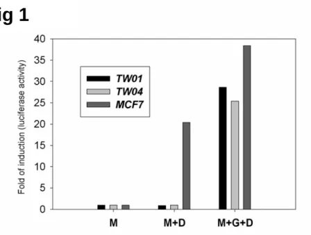 Fig. 1. Functional assay of the GCR in NPC-TW01 and NPC-TW04 cells. NPC-TW01,  NPC-TW04, and MCF-7 cells were transiently transfected with MMTV reporter plasmid (lane M  and lane M+D) or co-transfected with MMTV reporter plasmid and pS-hGR (lane M+G)