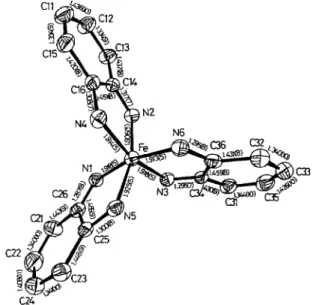 Fig. 1. ORTEP drawing of the  cation  [ Fe(bqdi)s12+ with  50% 