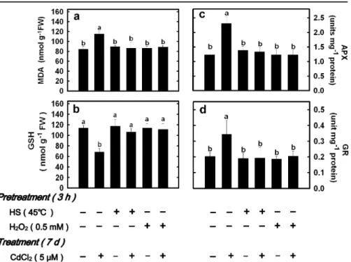 Fig. 3 Effect of HS and H 2 O 2 on GSH content a and the GSH/
