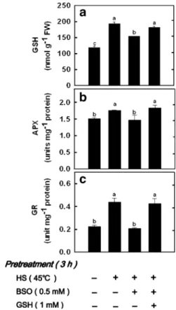 Fig. 7 Effect of CdCl 2 on chlorosis a and lipid peroxidation b in the second leaves of rice seedlings pretreated with BSO and BSO + GSH under HS (45°C) conditions