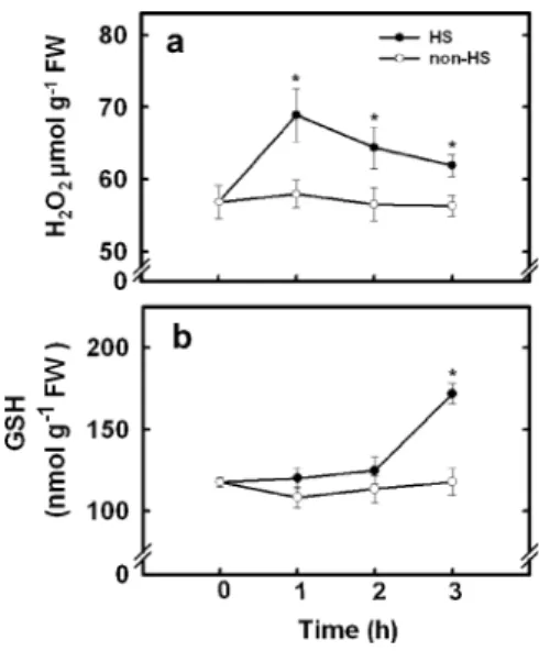Fig. 10 Changes in the contents of H 2 O 2 a and GSH b in the second leaves of rice seedlings treated with or without HS (45°C) under dark conditions