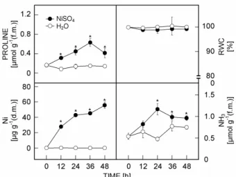 Fig. 1. The contents of proline, Ni, and ammonia and relative  water content (RWC) in detached rice leaves floating on water  (H 2 O) or NiSO 4  (10 mM) solution for 12, 24, 36, and 48 h