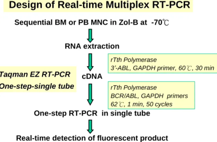 Table 1 Nucleotide sequences of PCR primers and probes Gene Primer Sequences