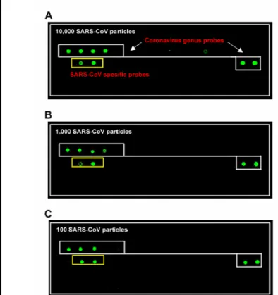 Figure 2. Determination of the sensitivity of virus chip. The virus chip can identify the virus even the  virus copy less than 100