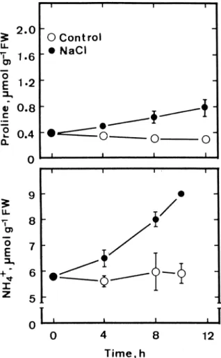Figure 7. Effect of NaCl on proline and NH 4 + contents in detached rice leaves. Detached rice leaves were incubated in 5 mM sodium phosphate buffer (pH 7.0) in the presence or absence of NaCl (200 mM) in the light