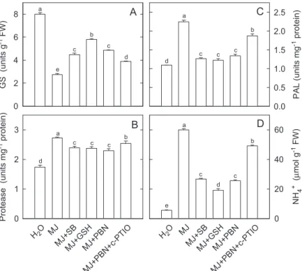 Figure 3. Effect of SB, GSH, and PBN on the activities of GS (A), the specific activities of protease (B) and PAL (C), and the content of NH 4+