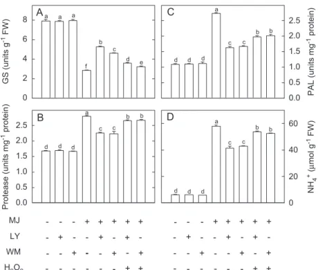 Figure 5. Effect of LY and WM on the activities of GS (A), the specific activities of protease (B) and PAL (C), and the content of NH 4+