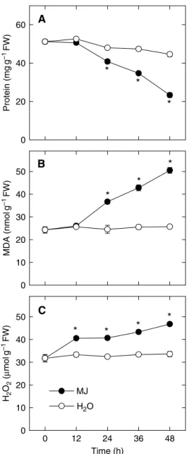 Fig. 1. Changes in the contents of protein (A), malondialdehyde (MDA) (B), and H 2 O 2 (C) in detached rice leaves treated with methyl jasmonate (MJ)