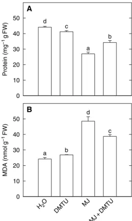 Fig. 2. Histochemical detection of H 2 O 2 with DAB staining in detached rice leaves treated with water, methyl jasmonate (MJ), and MJ plus diphenyleneiodonium chloride (DPI) or imidazole (IMD)