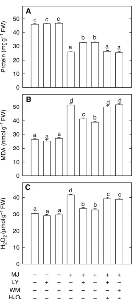 Fig. 4. Effect of diphenyleneiodonium chloride (DPI) and imidazole (IMD) on the contents of protein (A), malondialdehyde (MDA) (B), and H 2 O 2 (C) in detached rice leaves treated with methyl jasmonate (MJ).