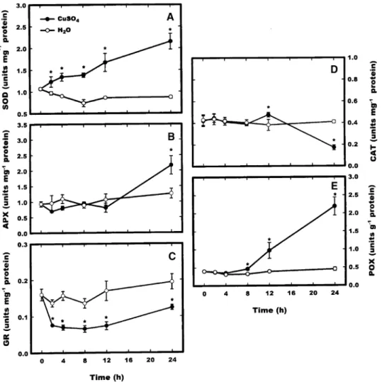 Figure 3. Changes in the specific activities of SOD (A), APX (B), GR (C), CAT (D), and POX (E) in rice leaves treated with CuSO 4 