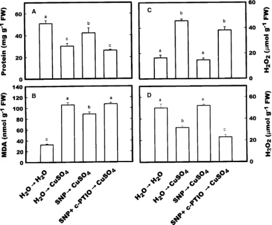Figure 5. Effect of SNP pre-treatment on the contents of protein (A), MDA (B), and H 2 O 2 (C, D) in rice leaves treated with CuSO 4 