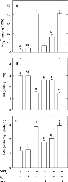 Fig. 8 Effect of fluridone (Flu, 0.2 mM) and ABA (5 lM) on the contents of NH 4 +