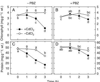 Fig. 3. Changes in the contents of chlorophyll (A, B) and protein (C, D) in the third leaves of –PBZ and þPBZ rice seedlings (PBZ, paclobutrazol) in the presence or absence of CdCl 2 (1.5 mM)