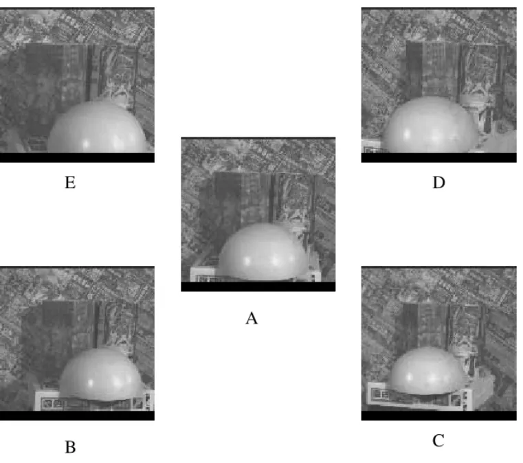 FIG. 9. Five reference images acquired by the left camera at the five points of view as shown in Fig