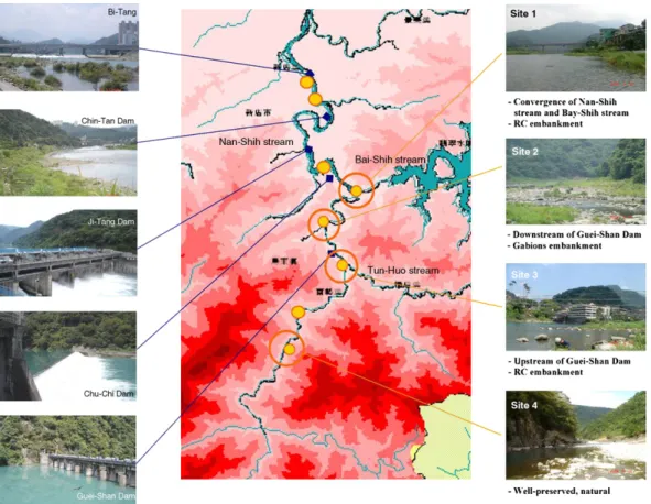 Fig. 2. Study area and sampling sites. Pictures of the artificial structures along Nan-Shih stream are shown as left side, while those of the representative sites are shown at right