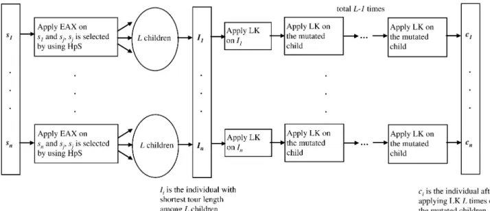 Fig. 6. Main steps in family competition.