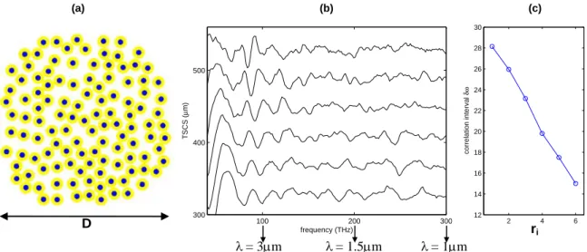 Fig. 3.  TSCS-ave spectra of a cluster of concentric coated cylinders.  The TSCS-ave spectra of  light scattering by a cluster (cluster diameter D=160μm, as shown in (a)) of inner cylinder radii r i  are  shown in (b) (Each TSCS-ave spectrum represents an 