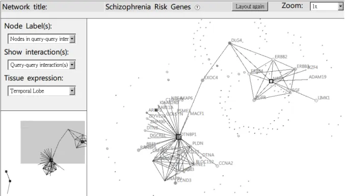 Figure 2. Network viewer of POINeT. 