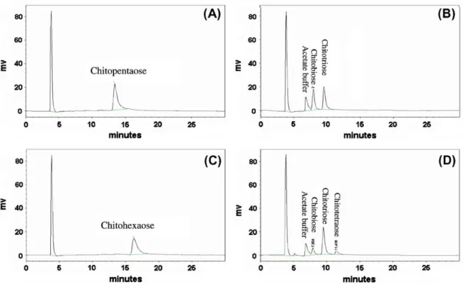 Fig. 4. The hydrolysis proﬁle of chitopentaose and chitohexaose by chitosanase from Bacillus cereus NTU-FC-4