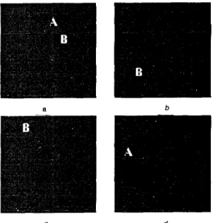 Table  1:  Seven larger  peak values of Fig.  3 