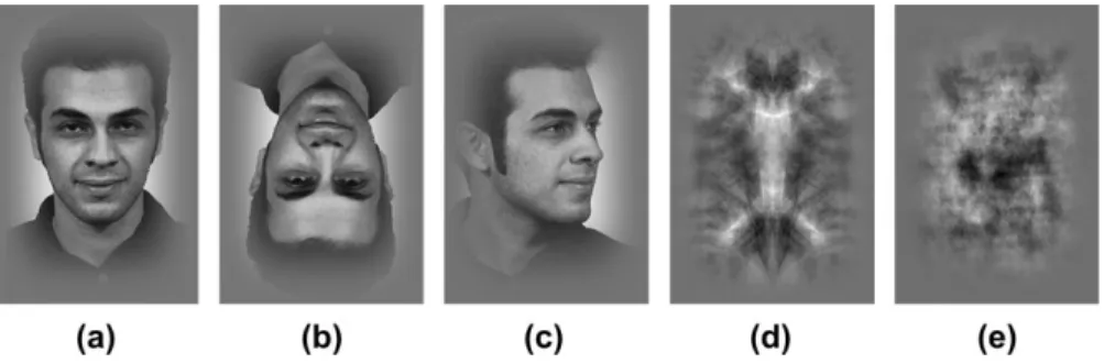 Figure 1 shows examples of the stimuli used in our experiment. We had 5 types of images: upright frontal-view faces, inverted faces, 3/4-view faces, symmetric scrambled images, and asymmetric scrambled images.