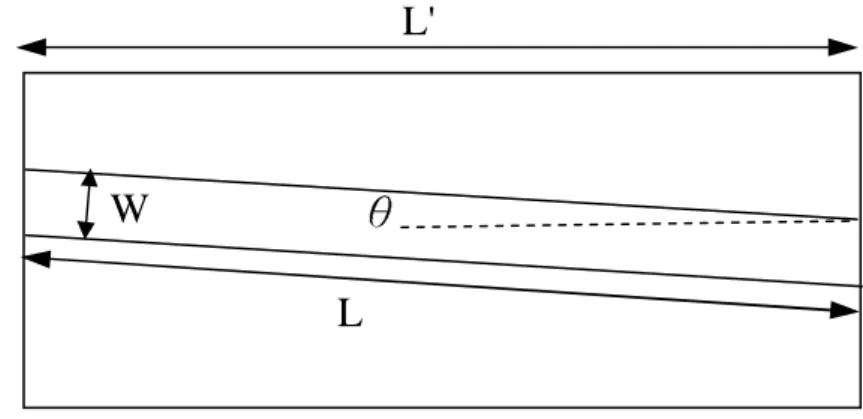 Figure 1: Structure of the laser diode. W is the width, L is the length and  θ  is the tilt angle of the waveguide