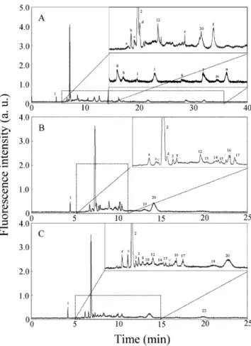 Figure 2. Electropherograms of (A) GNP-tryptic digest of BSA, (B) tryptic and GNP-tryptic digests of BSA, (C) GNP-tryptic digest of BSA after centrifugation