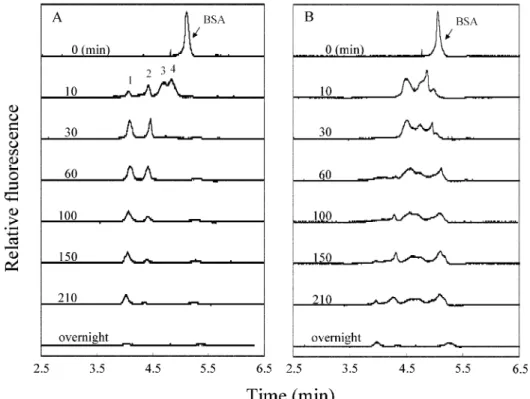 Figure 5. Electropherograms of (A) tryptic and (B) GNP-tryptic digests of BSA obtained by CZE-LIF with an He-Ne laser