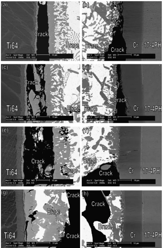 Fig. 9. SEM cross-sections after the shear tests and EDS chemical analyses of the joint infrared brazed at (a and b) 850 ◦ C for 180 s, (c and d) 850 ◦ C for 300 s, (e and f) 875 ◦ C for 180 s, (g and h) 875 ◦ C for 300 s.
