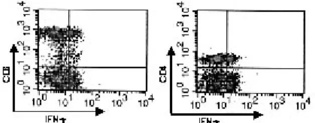 Figure  2.  Flow  cytometry  analysis  of  IFN-γ  secreting  CD8 +  or CD4 +  cells in stimulated PBMCs