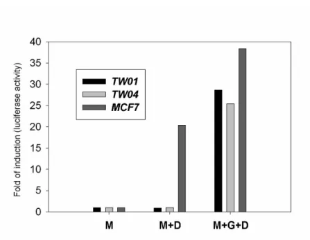 Fig. 1. Functional assay of the GCR in NPC-TW01 and NPC-TW04 cells. 